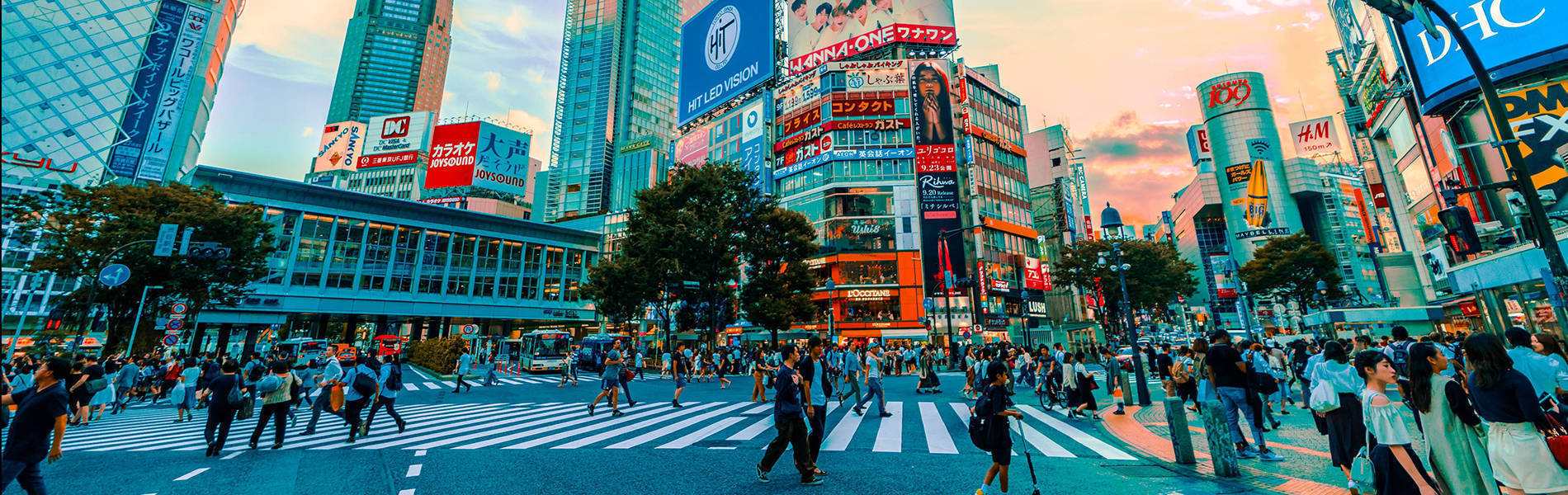 Üretra ve Özellikleri 